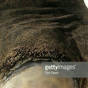 Meet your Posher, Darron